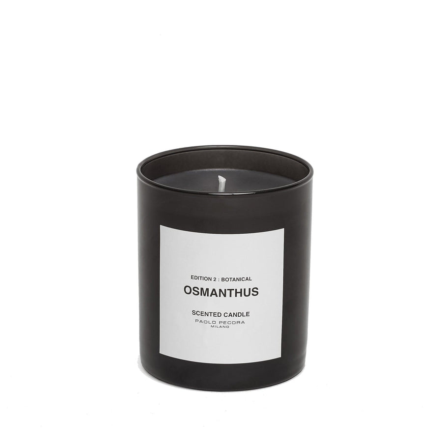 Paolo Pecora OSMANTHUS Edition 2: Botanical - Candela 210 GR Presa