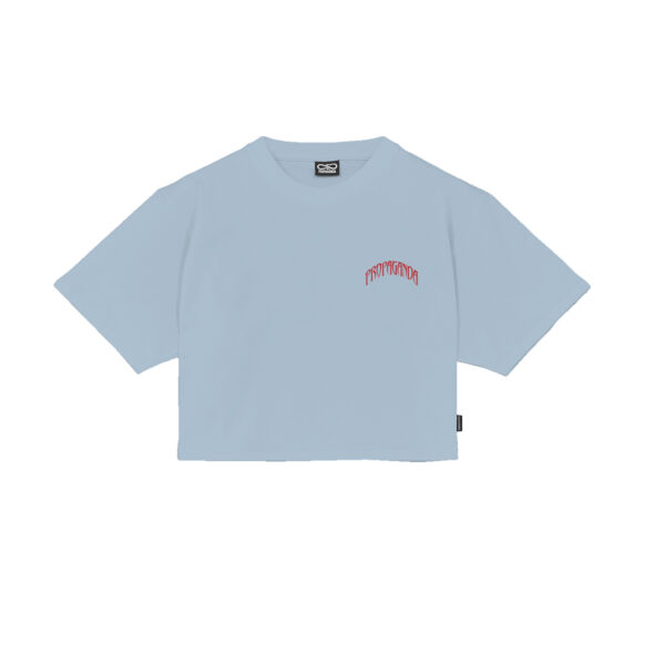 Propaganda Triangle Bengala Crop Top Tee – Sky In Vendita