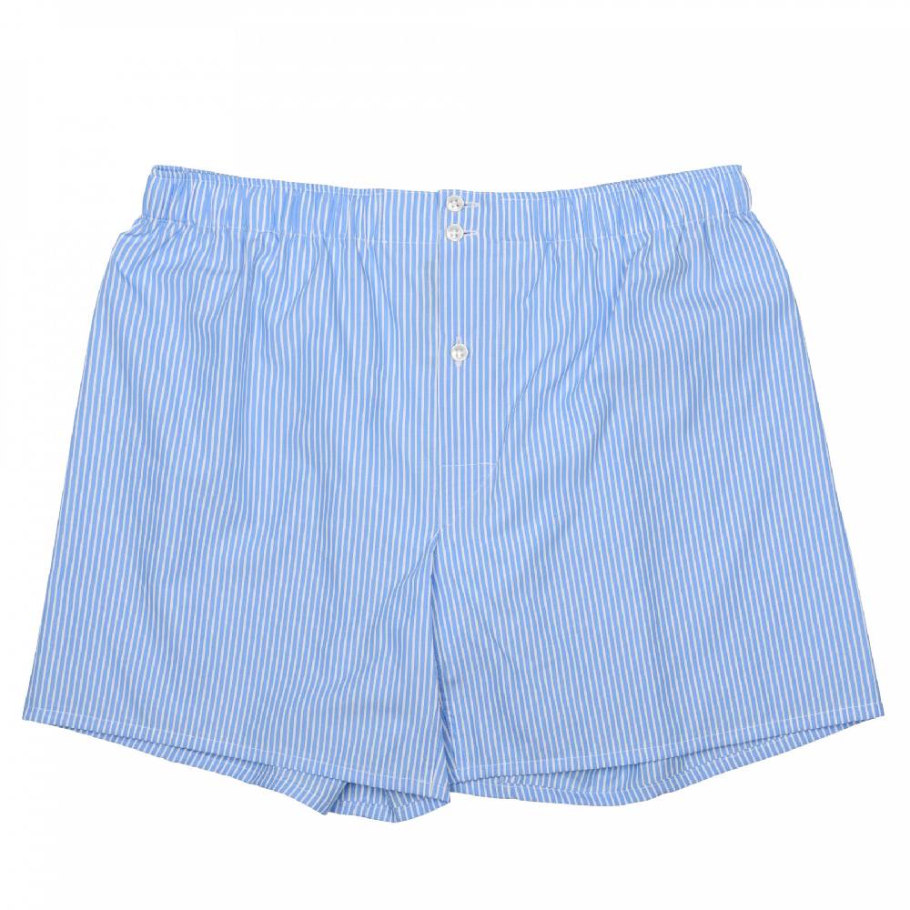 Roberto Ricetti BOXER DB1 SUPPORT - BASIC - CONTINUATIVO - RIGA FONDO AZZURRO Italia