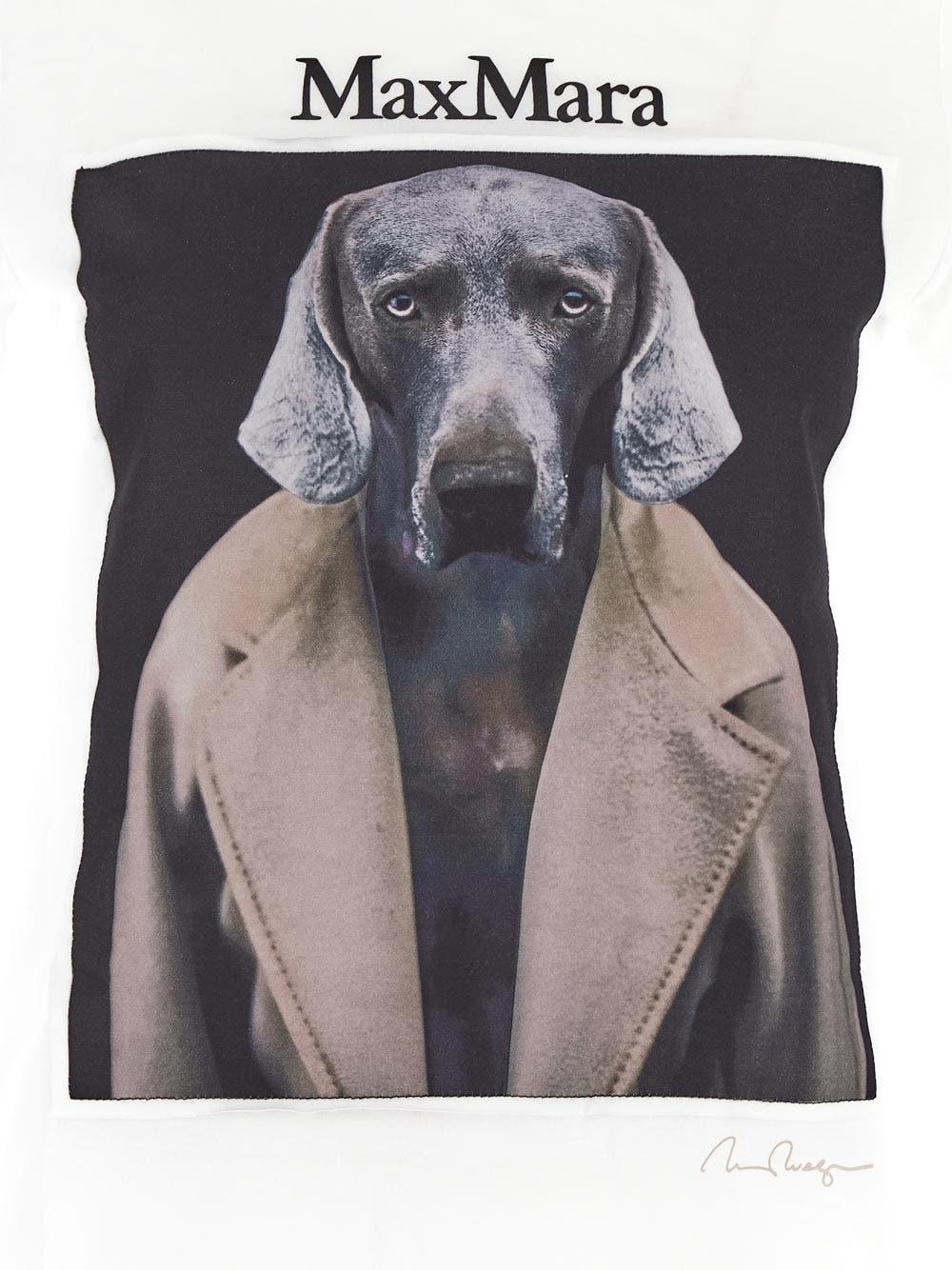 Oluxury Max Mara Cipria T-Shirt In Linea