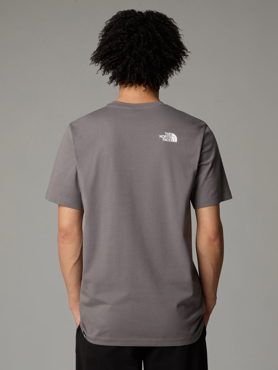 THE NORTH FACE T-shirt Regular Fit con Logo Grigio In Vendita